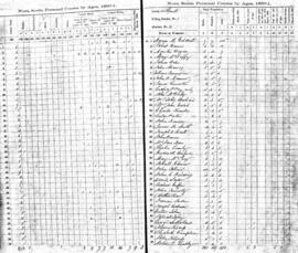 Census abstracts